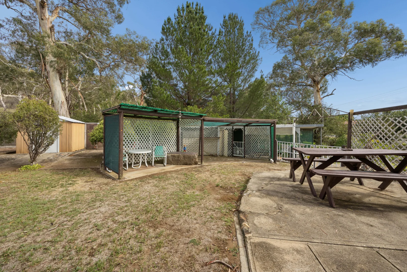 Image 15