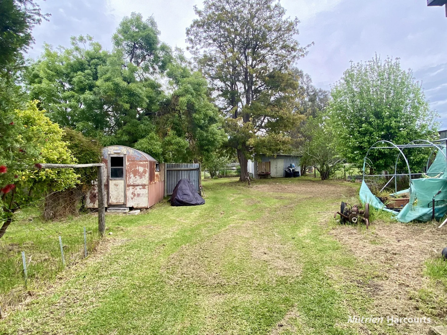Image 13
