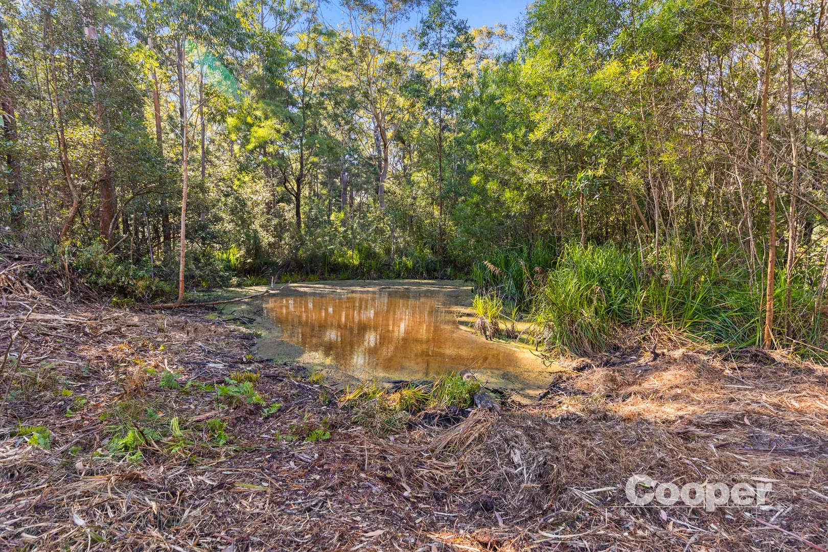 Additional image 11 of 56B Kingiman Road, Woodburn NSW 2538