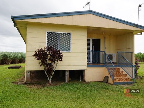 Picture of 709 Tully-Hull Road, LOWER TULLY QLD 4854