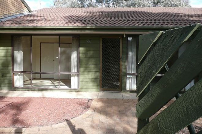 42 Rental Properties In Chapman Act 2611 Domain