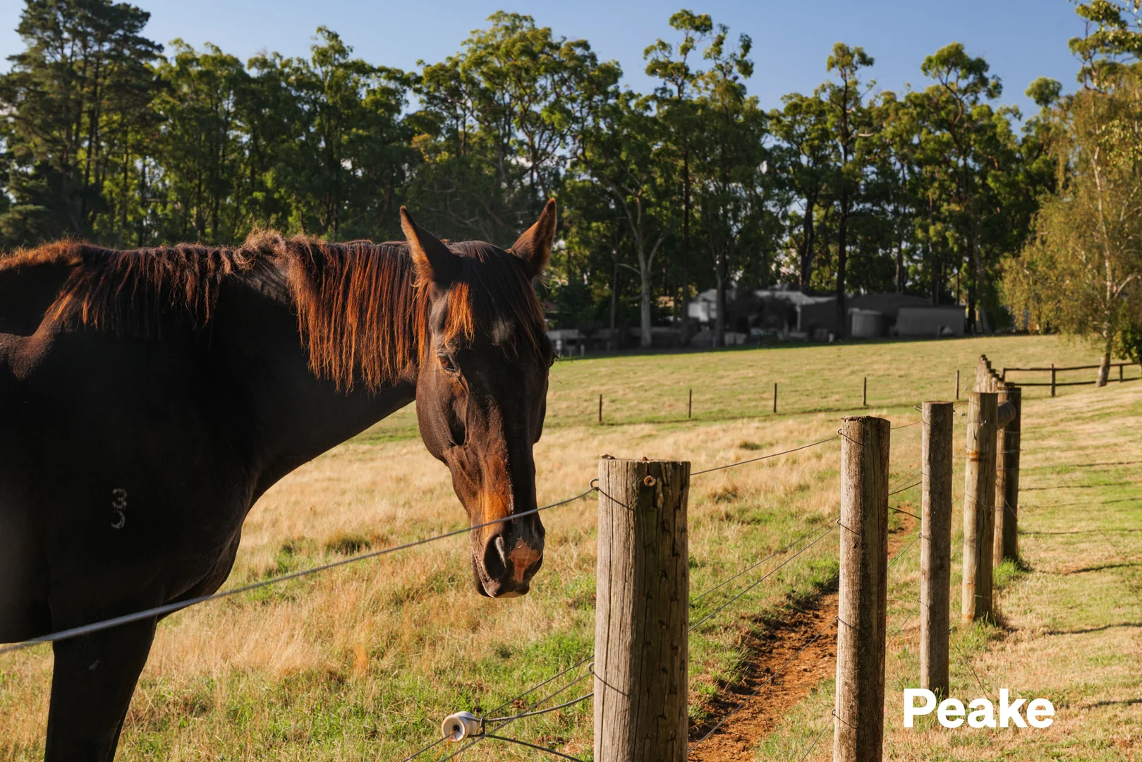 Additional image 19 of 6 Paternoster Road, Emerald VIC 3782