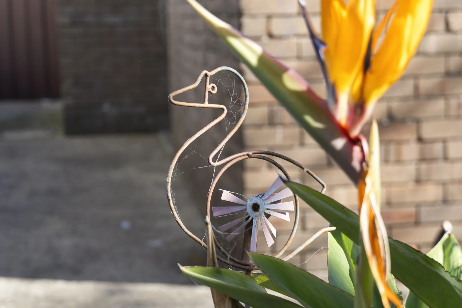Image 11