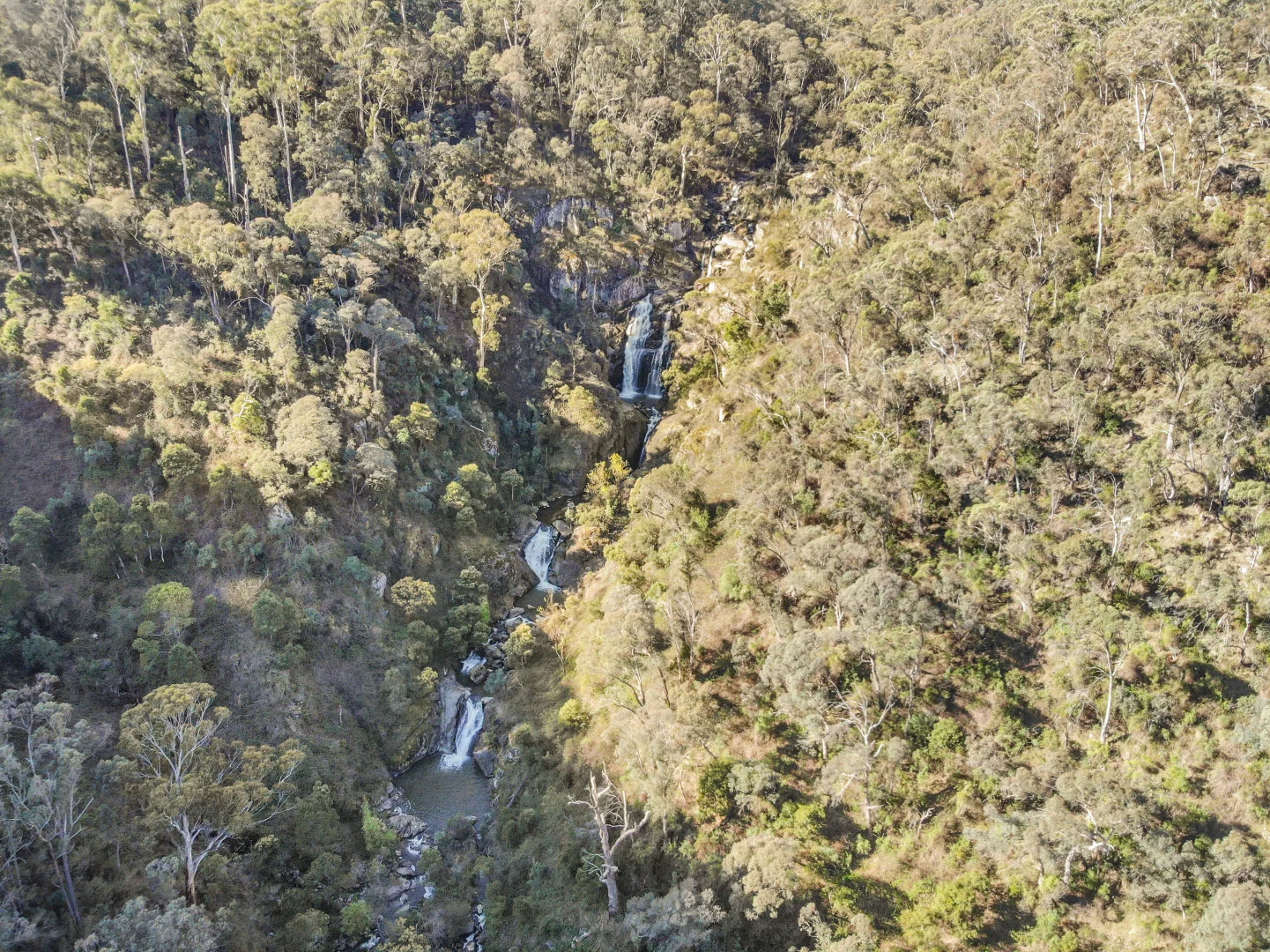 Image 11