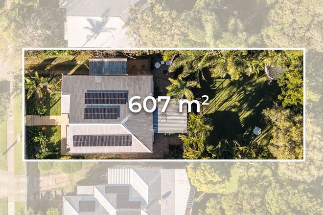 25 Belgrave Street Balmoral 4171 - Image 6