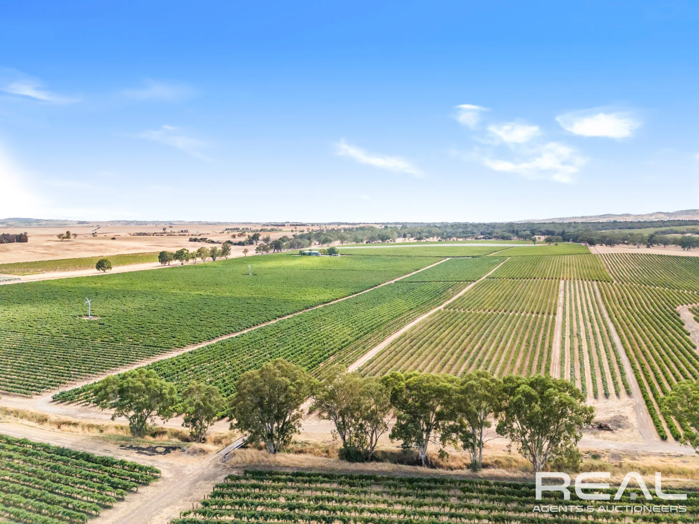 Additional image 10 of 17 King Street, Lyndoch SA 5351