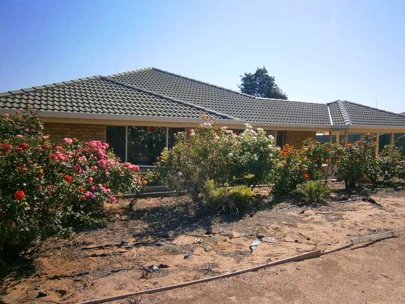 3 Edwards Crescent, Waikerie SA 5330, Image 0