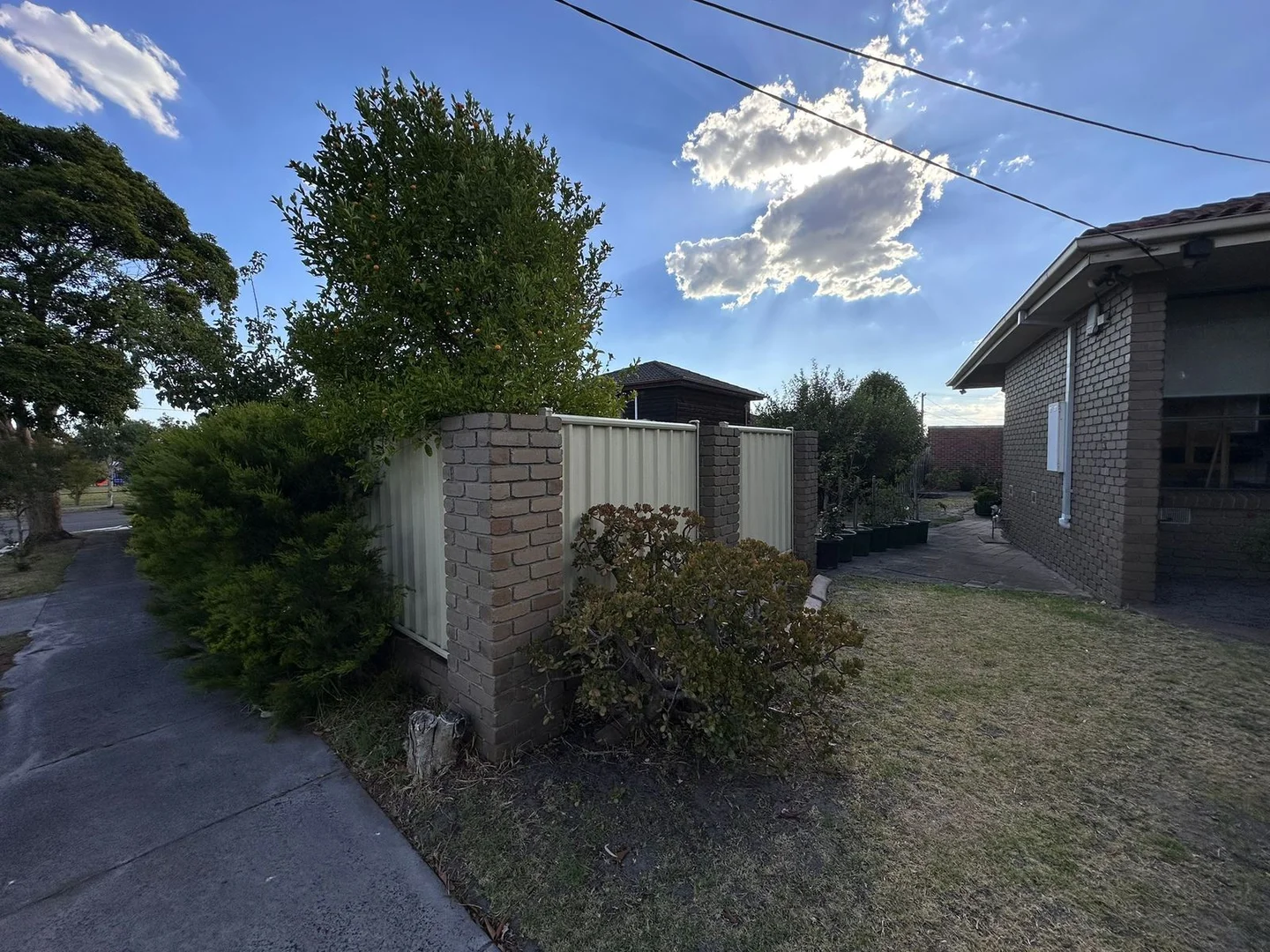 Image 21