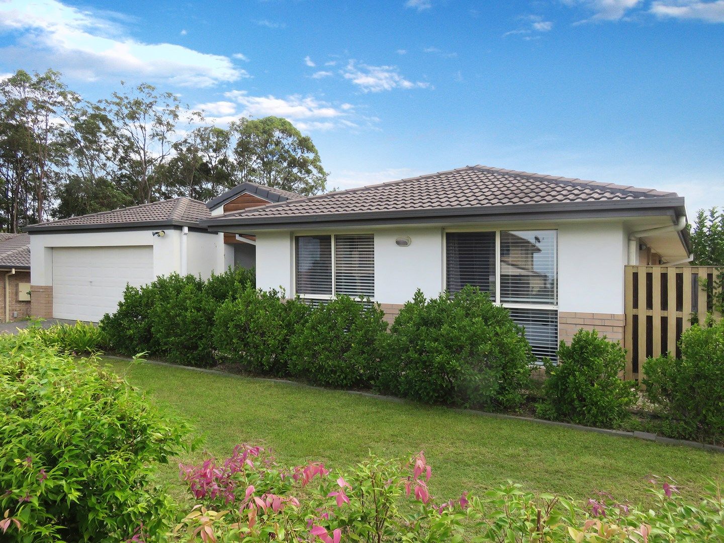 22 Denise Drive, Upper Coomera QLD 4209 House For Rent 750 Domain