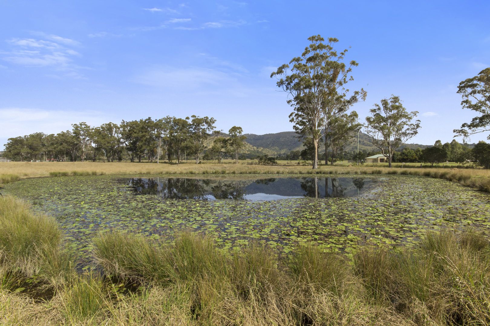 111 Dwyer Ridges Road, Mount Alford QLD 4310, Image 2