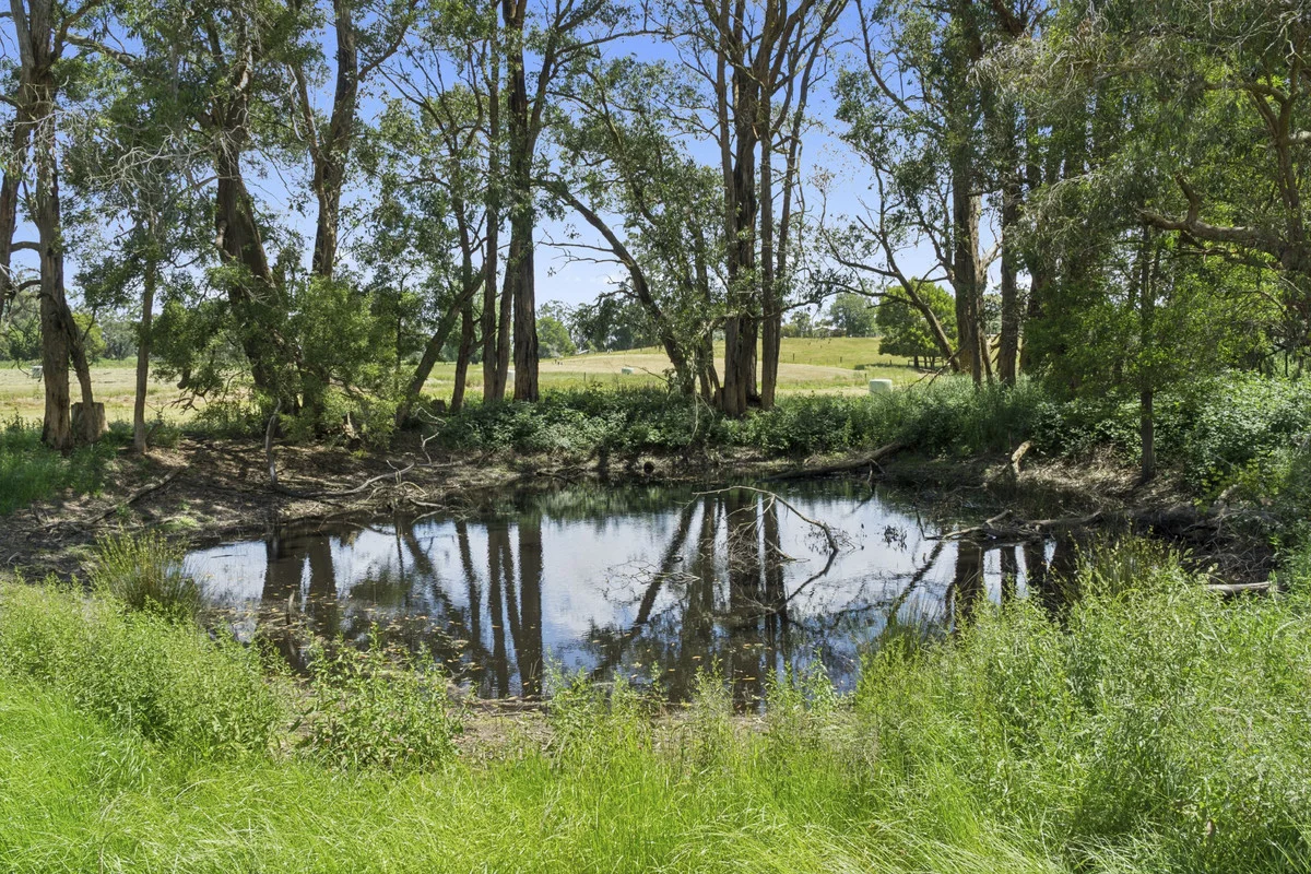 Image 25