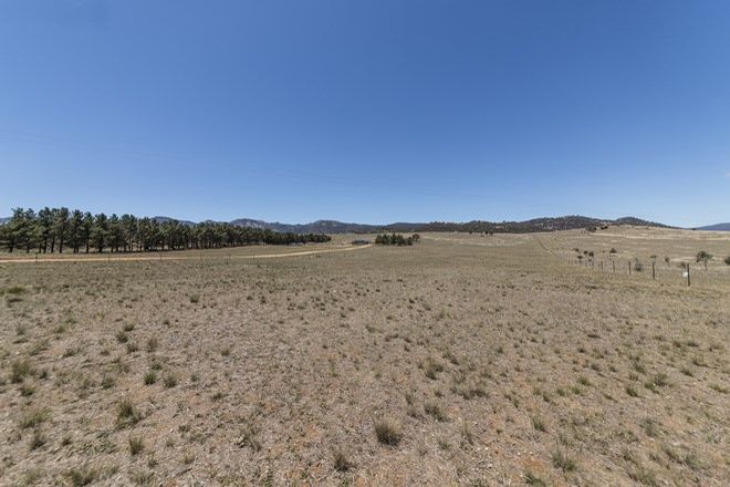 Picture of 124 Karinya Plains Road, MICHELAGO NSW 2620