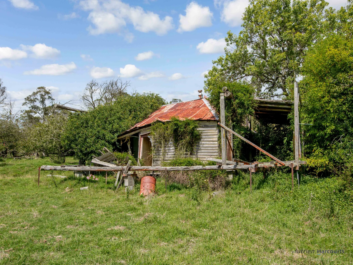 Image 18
