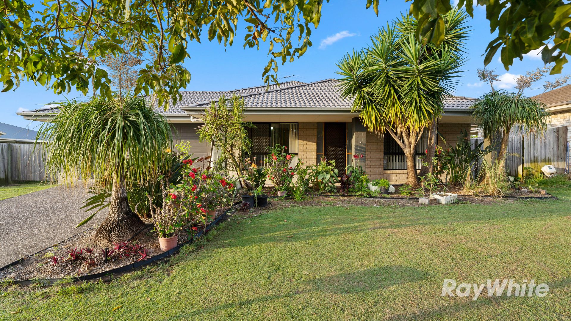 3 Ashmore Close, Marsden QLD 4132, Image 1