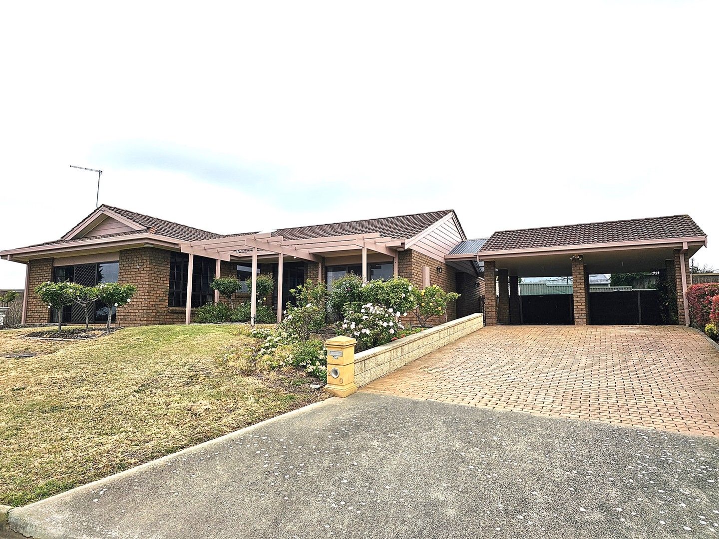 20 CORCORAN TERRACE, Millicent SA 5280 House For Rent Domain