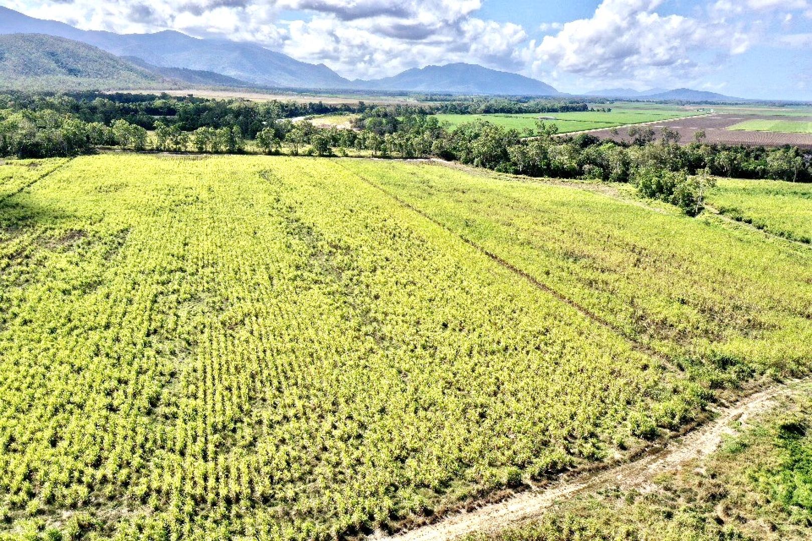 779 Bahr Road, Majors Creek QLD 4816 House for Sale Domain