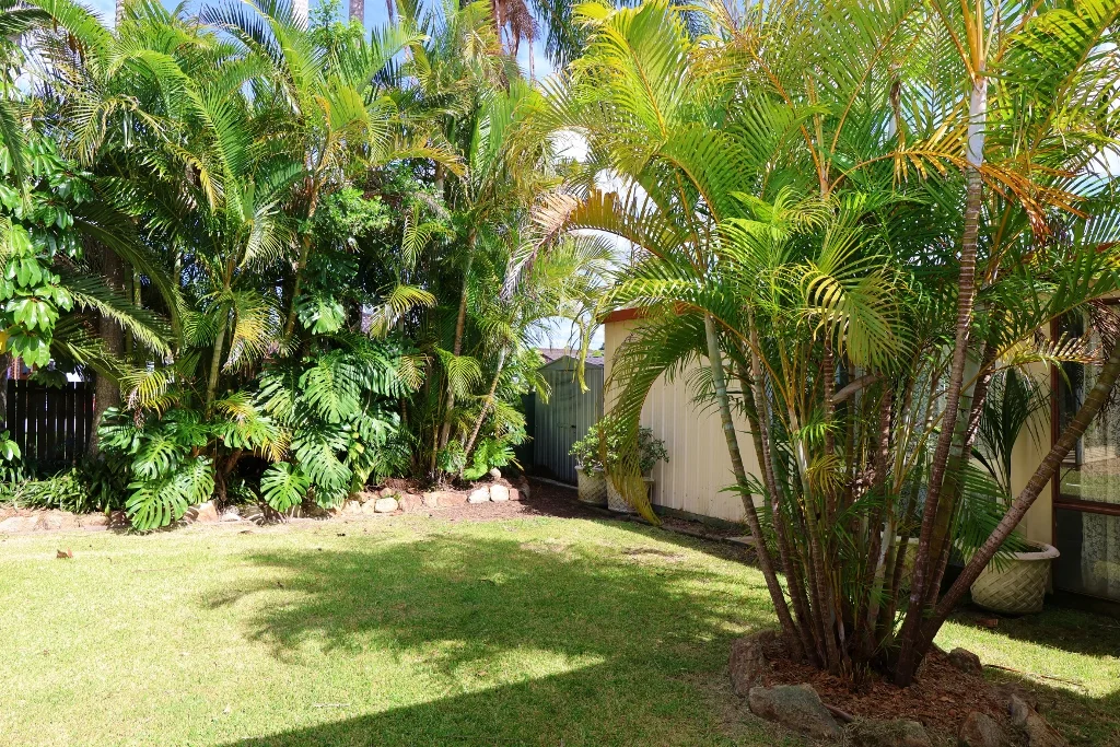 Additional image 16 of 9 Teal Close, Lakewood NSW 2443