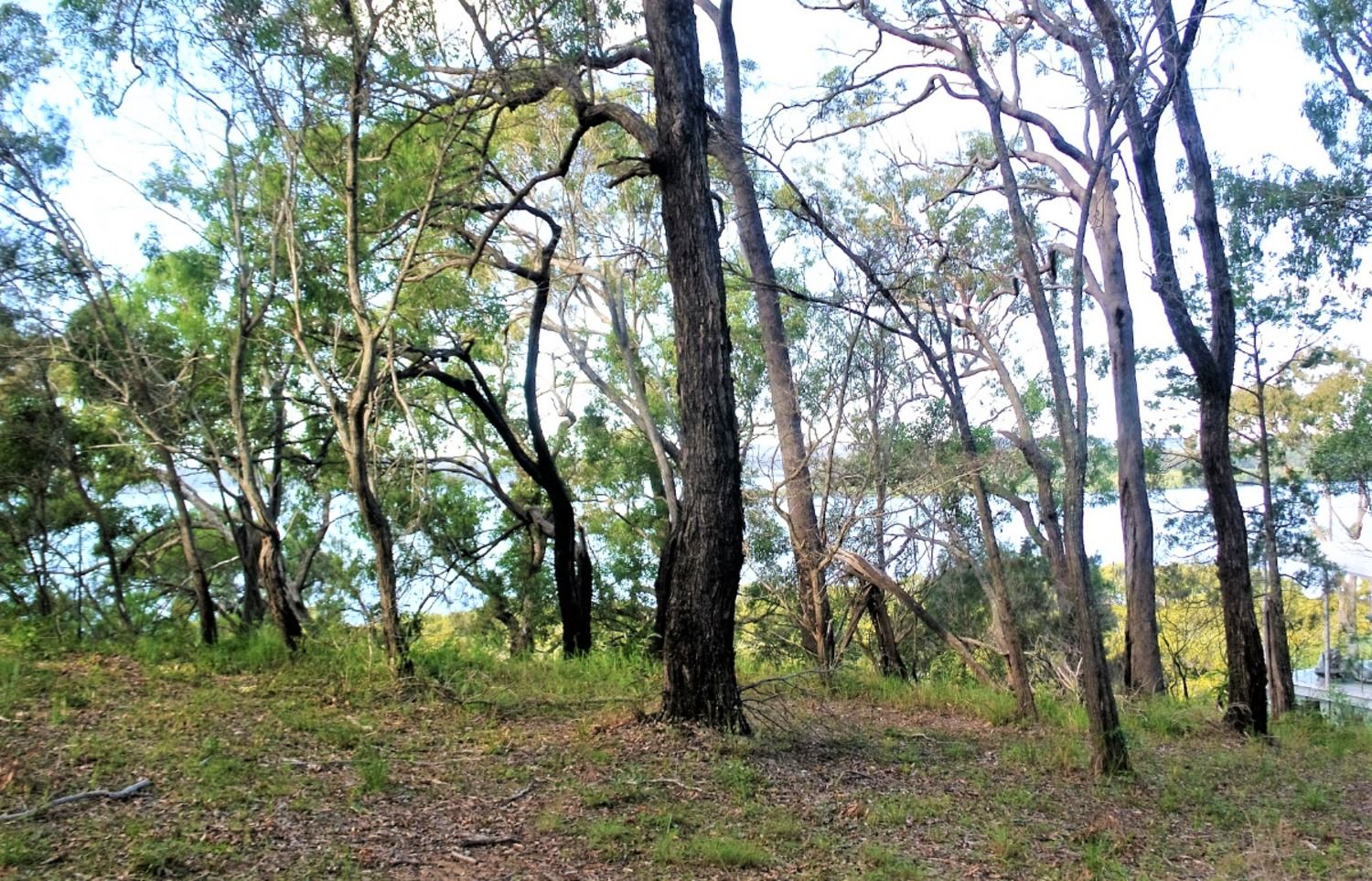 14 Boat Harbour Avenue, Macleay Island QLD 4184, Image 1