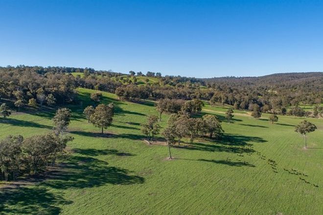 Bald Blair Public School Catchment Nsw 2365 Domain