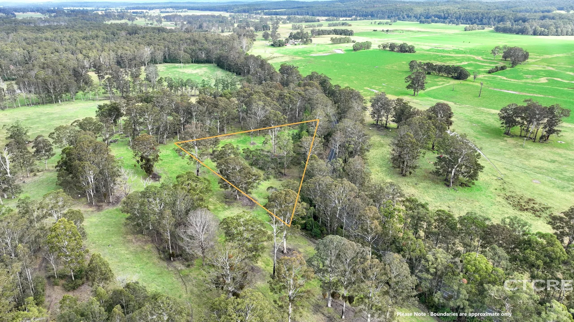 Image 10