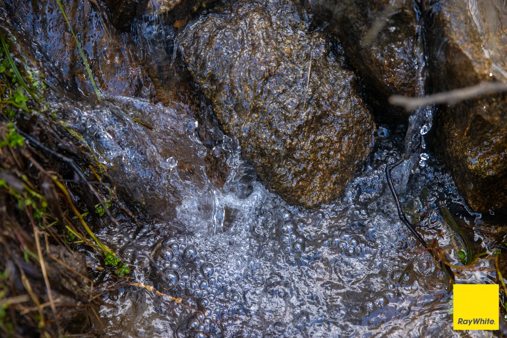Image 14