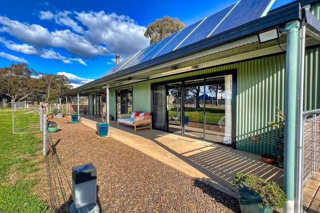 Picture of 51 Browns Lane, RYLSTONE NSW 2849