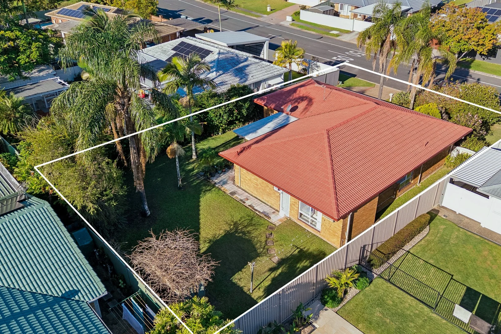 Image 8