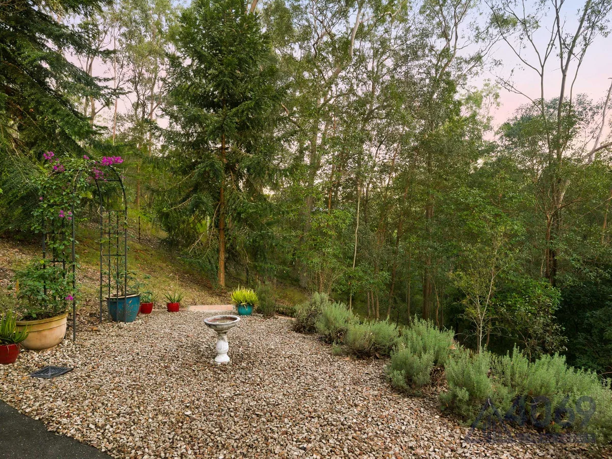 Image 23