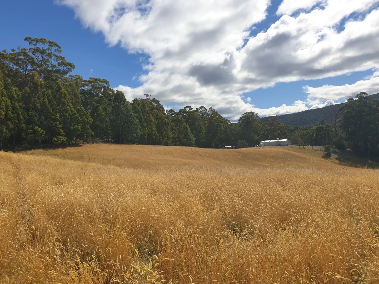 Additional image 3 of Lots 1 & 3 Plummers Road, Southport TAS 7109