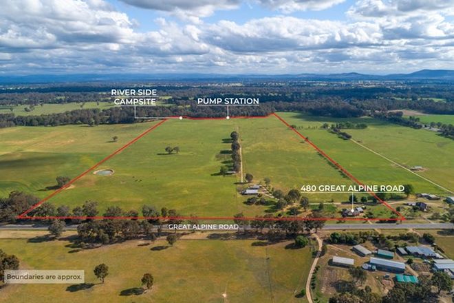 Picture of 480 Great Alpine Road, EAST WANGARATTA VIC 3678