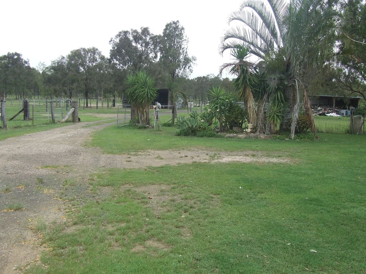 Image 12