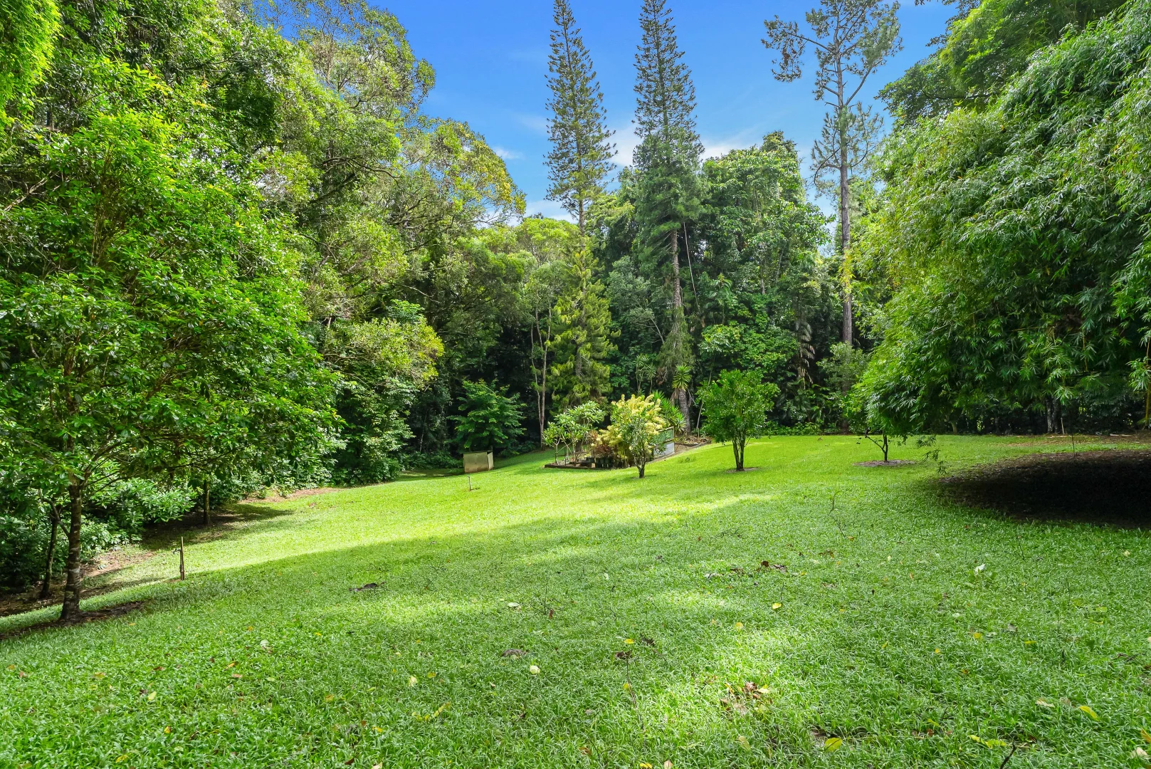 Additional image 23 of 480 Oak Forest Road, Kuranda QLD 4881