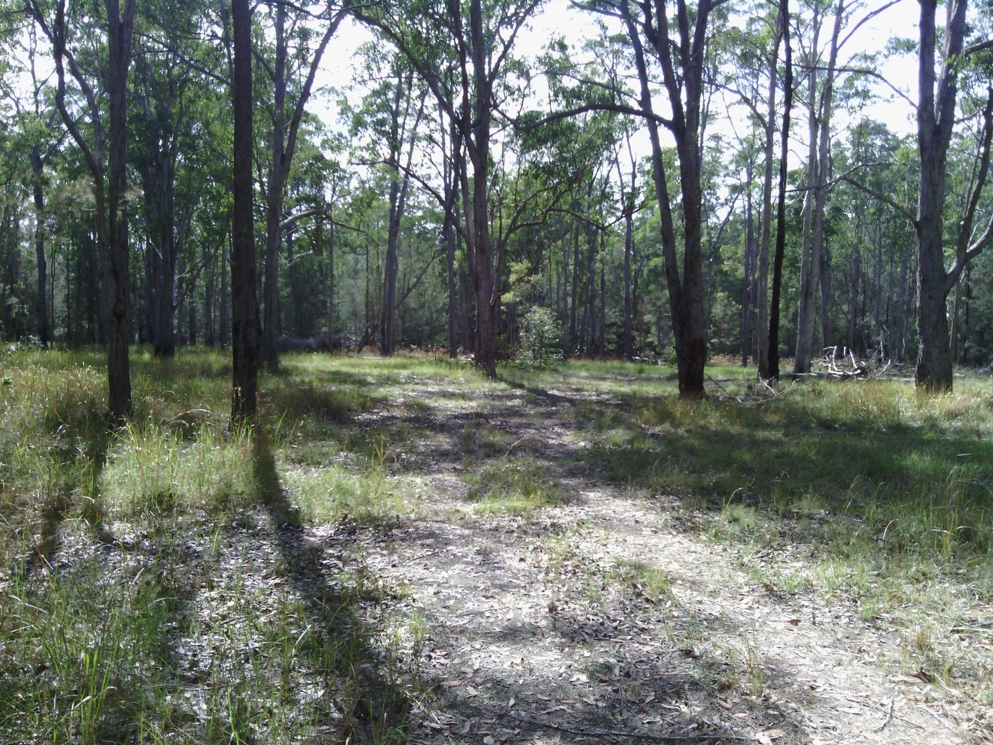 Lot 1/ 84 Owens Access, Collombatti NSW 2440, Image 2