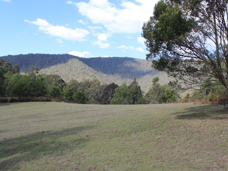 1365 Tantawangalo Mountain Road, Tantawangalo NSW 2550, Image 1