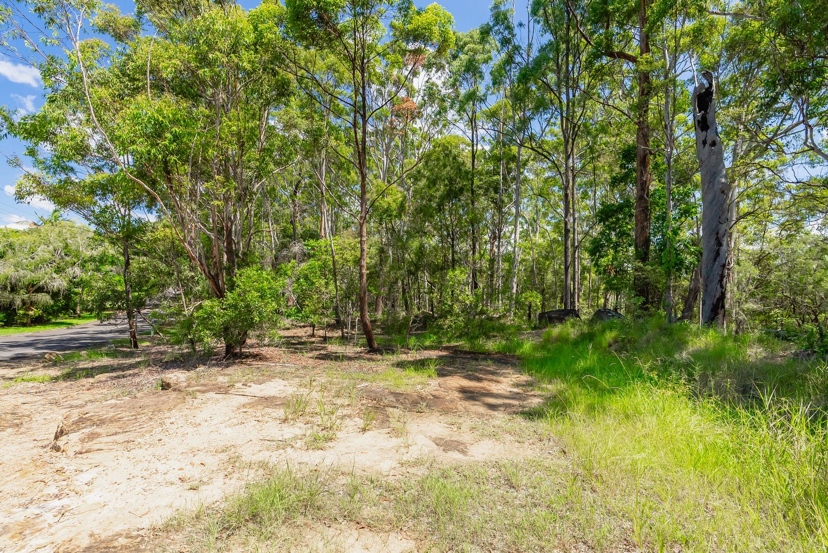 155 Mons School Road, Buderim QLD 4556, Image 1