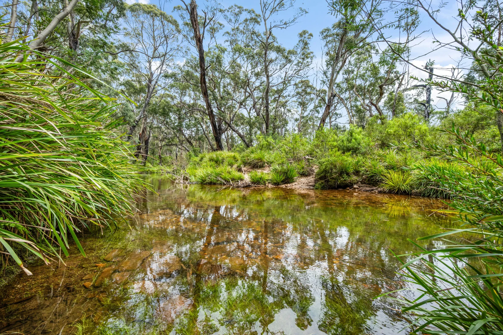 Additional image 29 of 7288 Nerriga Road, Braidwood NSW 2622