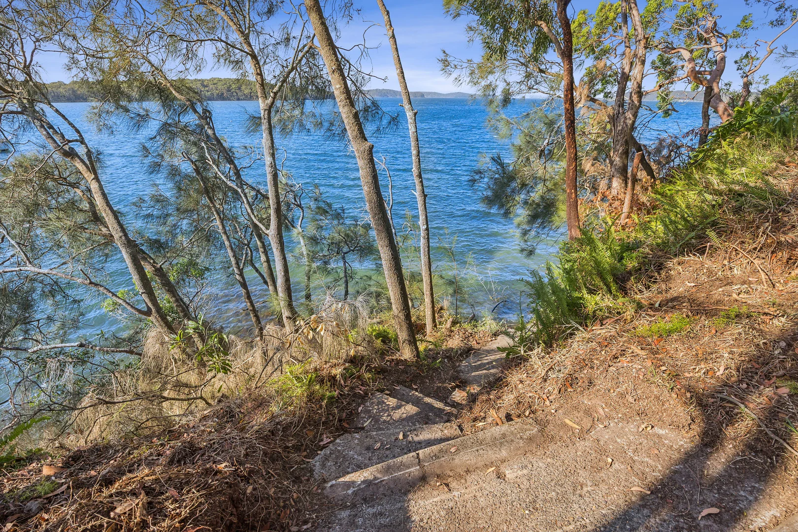 Image 13