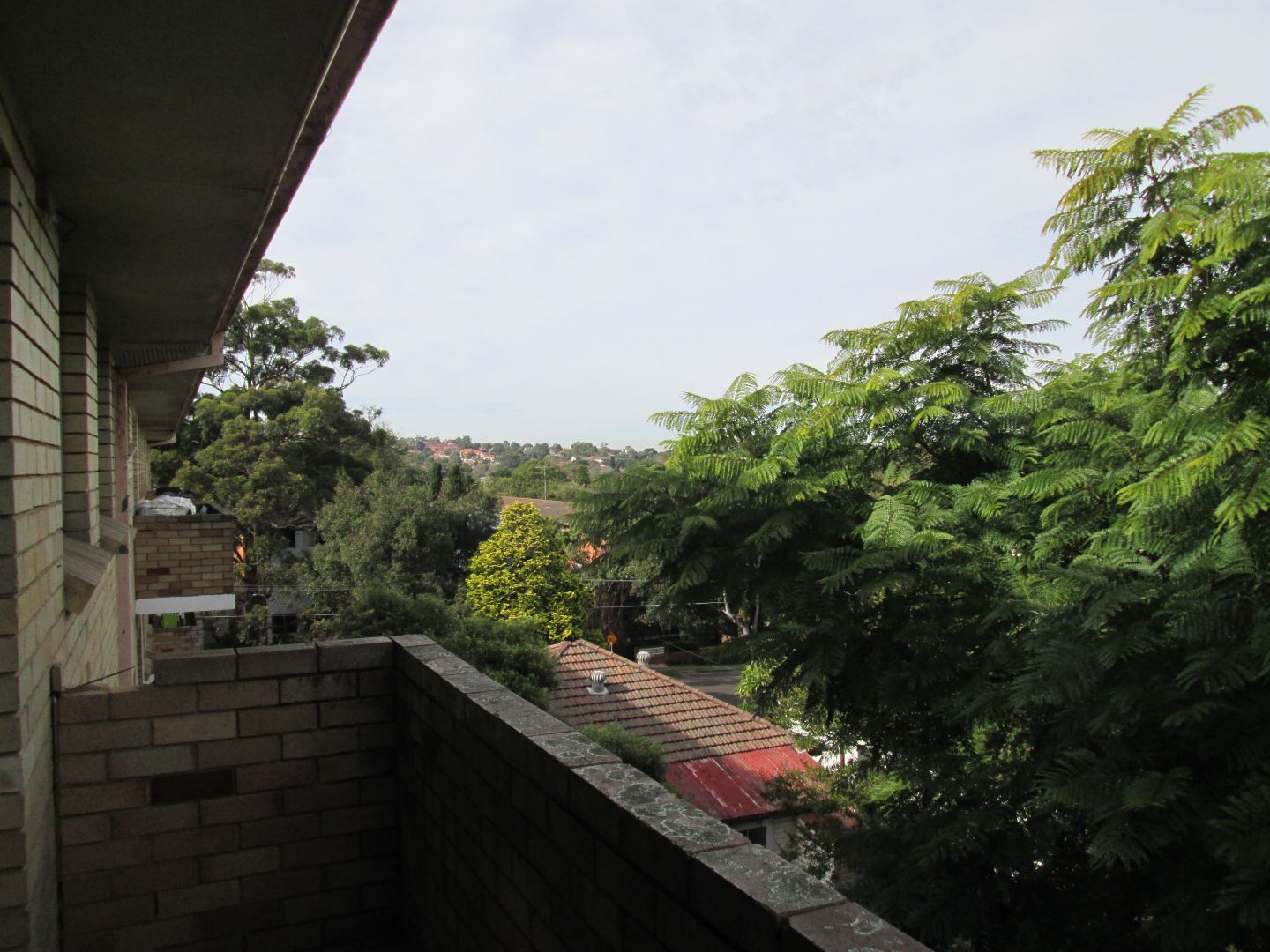 17/39 Forster Street, West Ryde NSW 2114 Apartment For Rent Domain