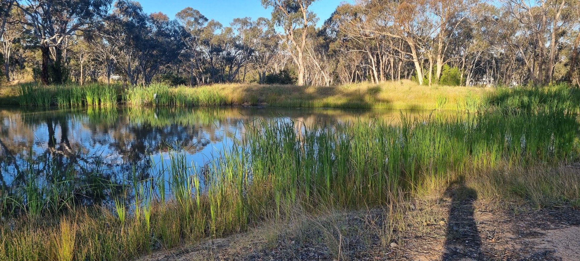 55 Panhandle Road, Uralla NSW 2358 Vacant Land for Sale 390,000