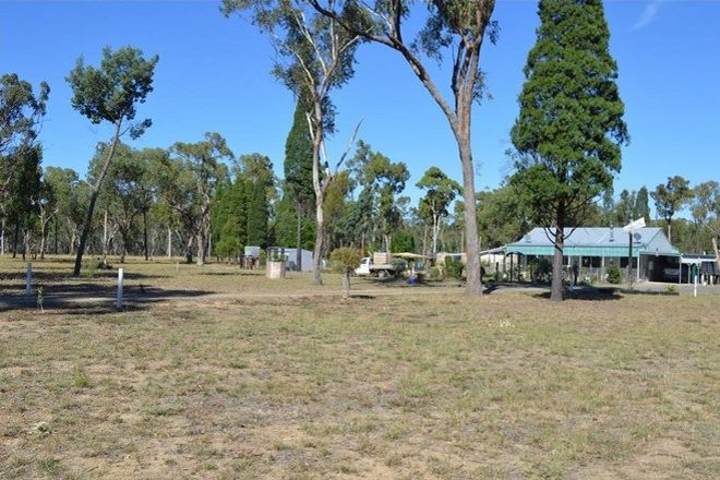 Picture of CYPRESS GARDENS QLD 4357