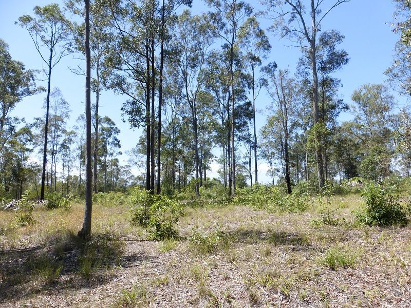 191 Tamaree Road, Tamaree | Property History & Address Research | Domain