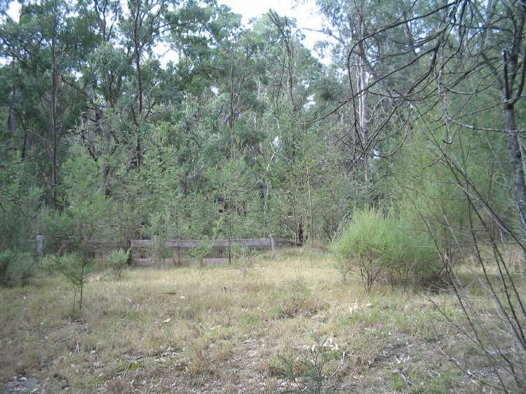 2519 Araluen Road, DEUA RIVER VALLEY NSW 2537, Image 1