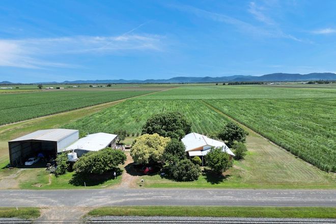 Picture of 217 Petersens Road, SANDIFORD QLD 4740
