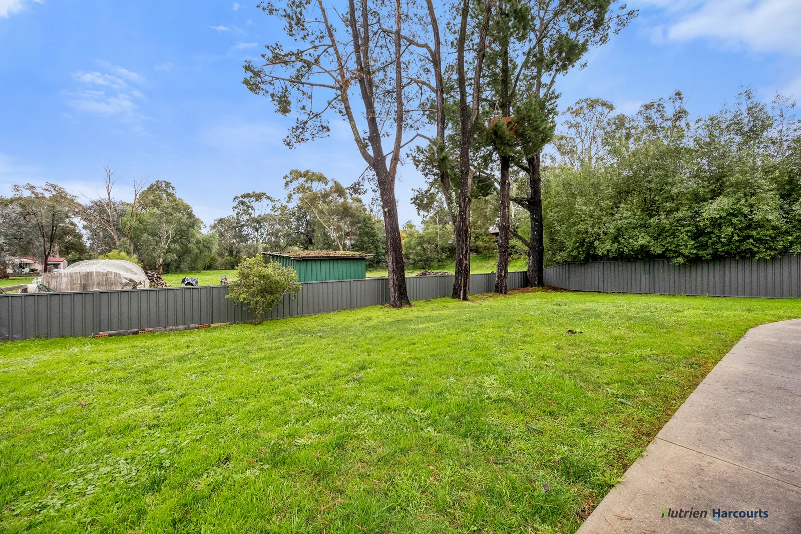 Image 20