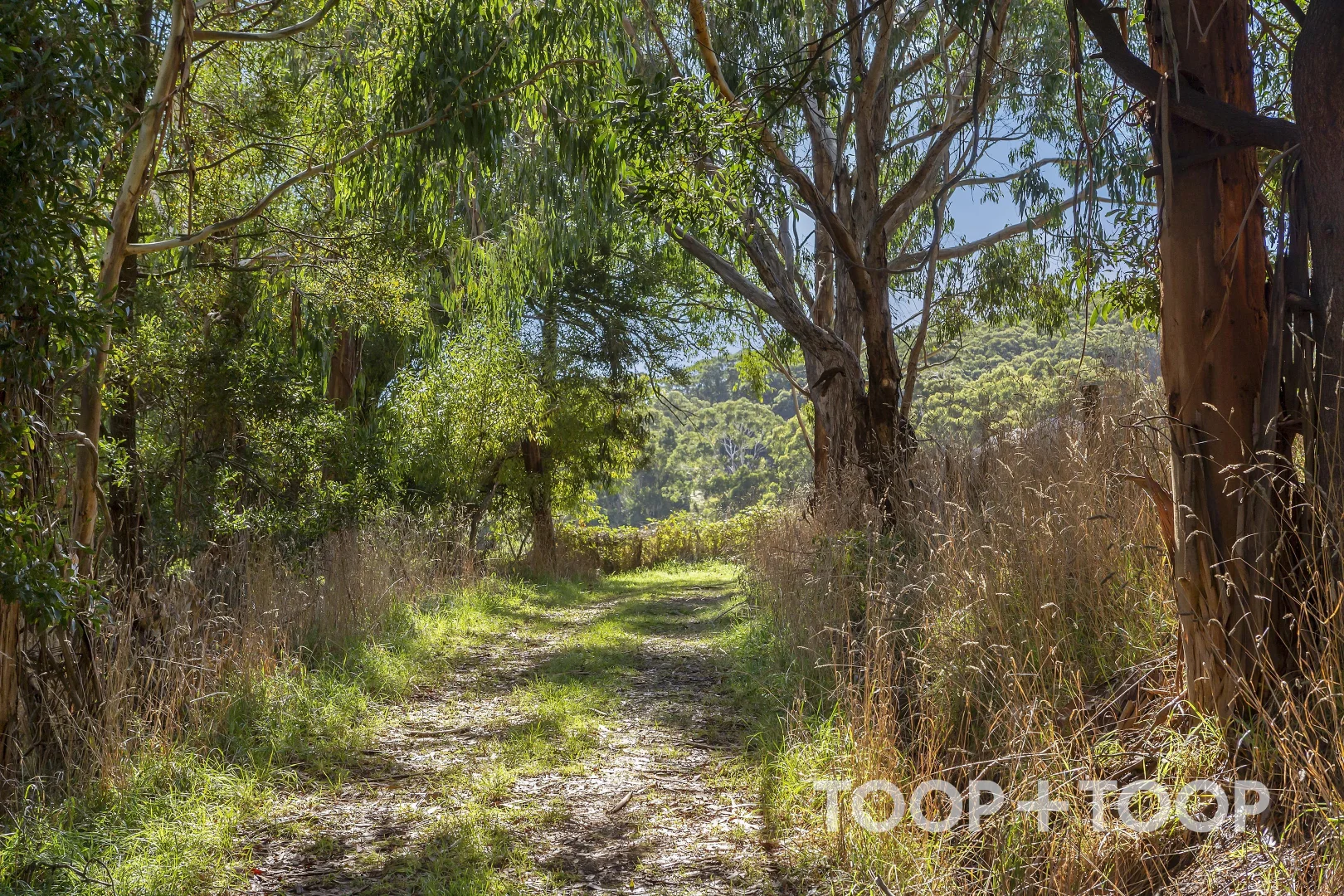 Additional image 5 of 12 Udys Road, Piccadilly SA 5151