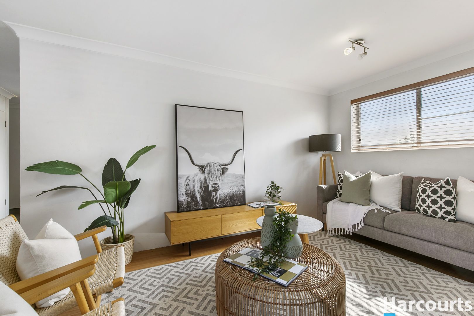 3/29 Carr Street, Bulimba QLD 4171, Image 1