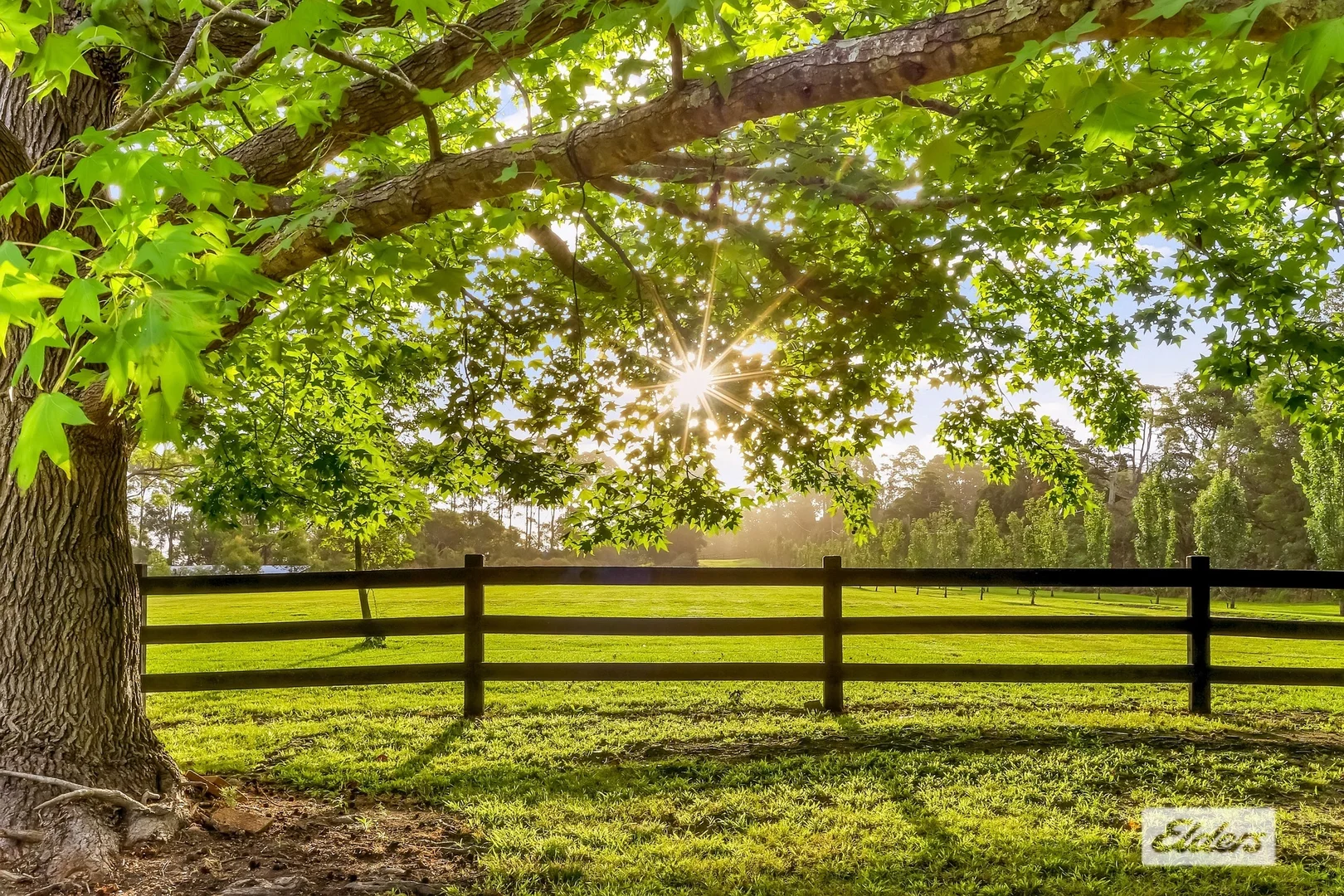 Additional image 14 of 380 George Downes Drive, Central Mangrove NSW 2250