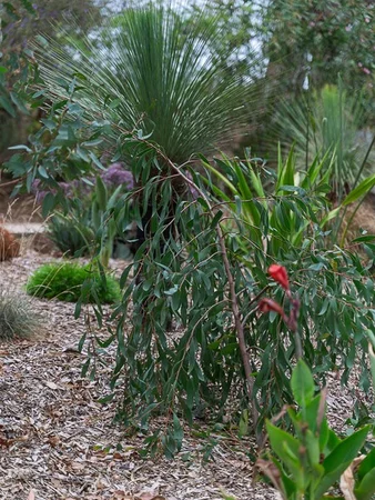 Additional image 7 of 33 Cut Hill Road, Kangarilla SA 5157