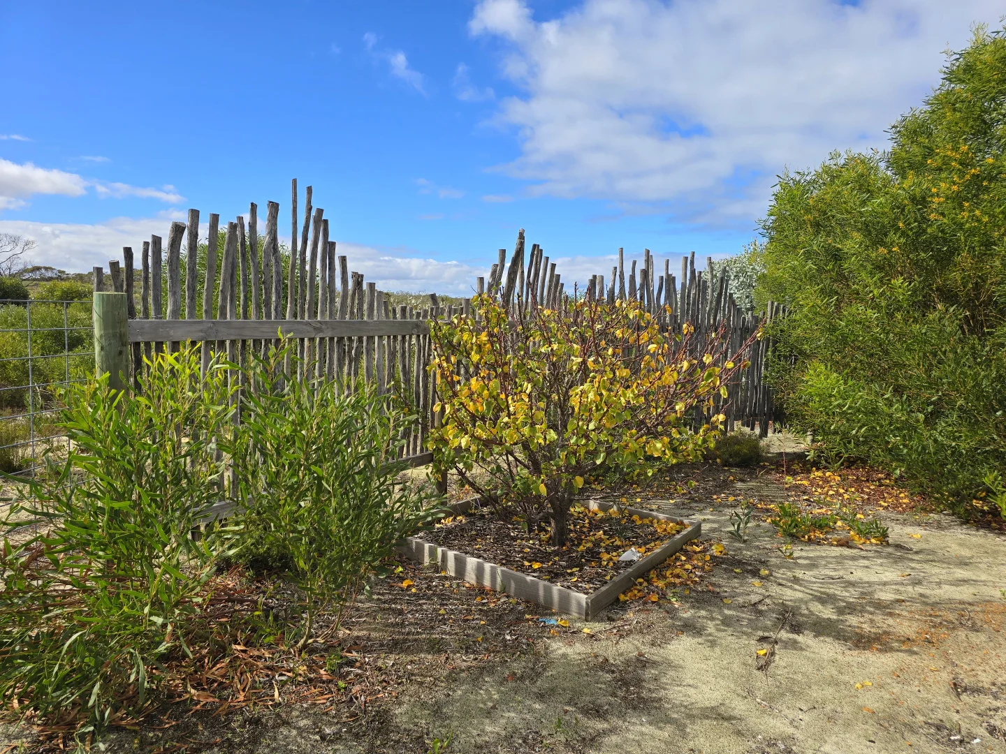 Image 39