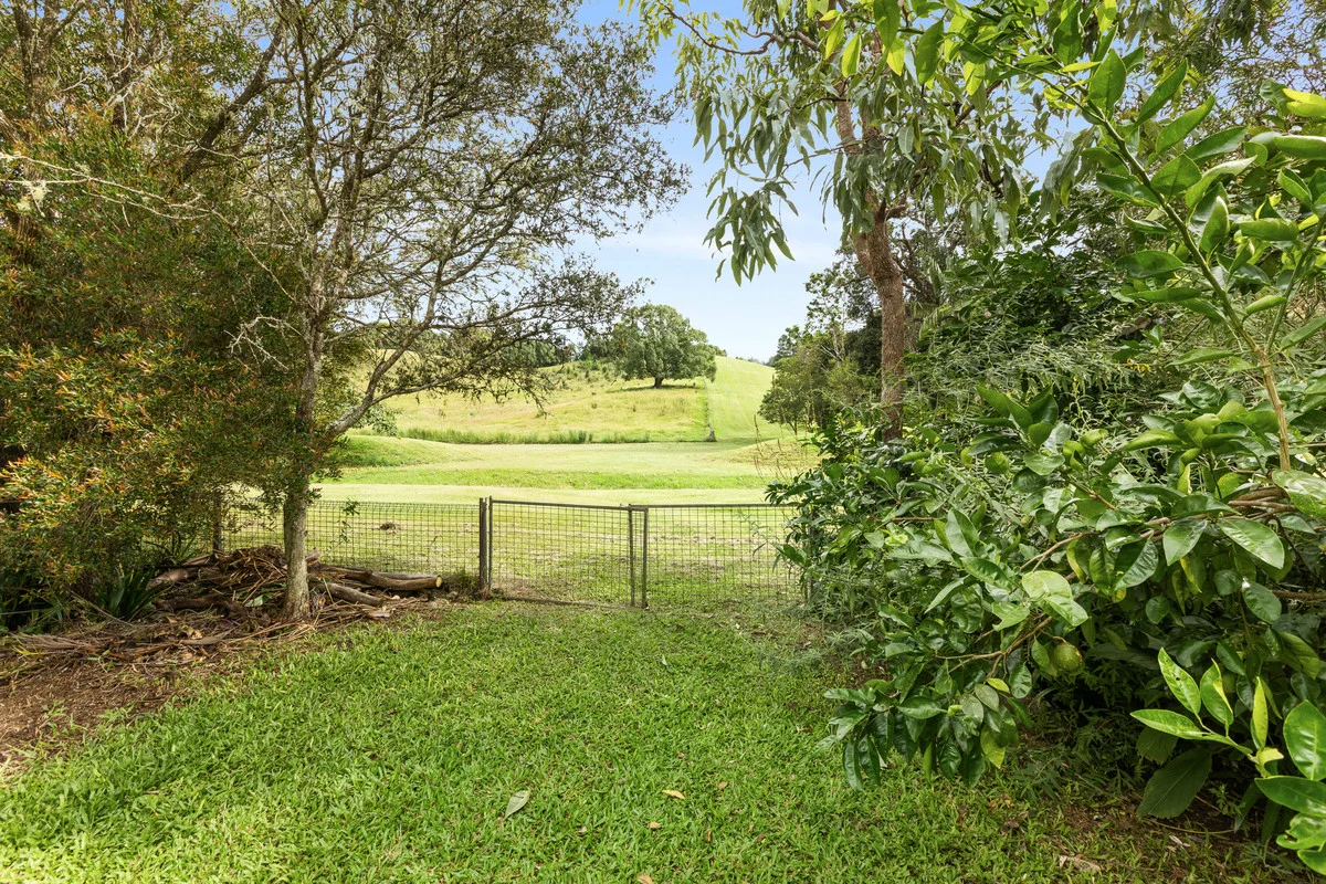Image 25